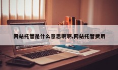 网站托管是什么意思啊啊,网站托管费用