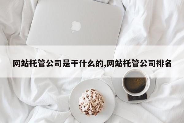 网站托管公司是干什么的,网站托管公司排名
