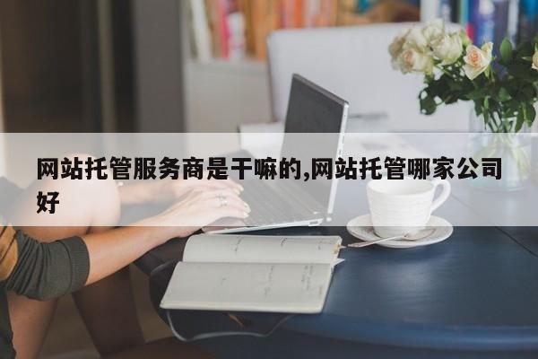 网站托管服务商是干嘛的,网站托管哪家公司好
