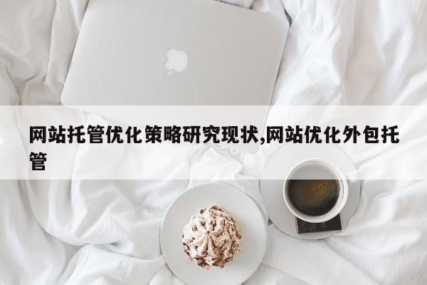 网站托管优化策略研究现状,网站优化外包托管