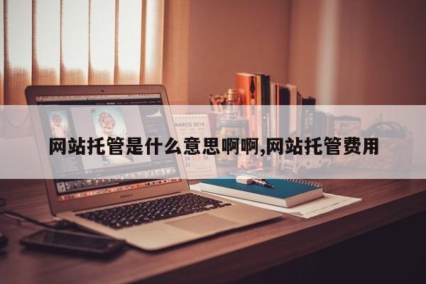 网站托管是什么意思啊啊,网站托管费用