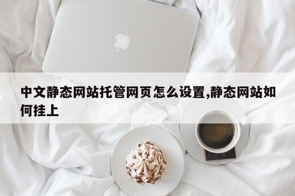中文静态网站托管网页怎么设置,静态网站如何挂上