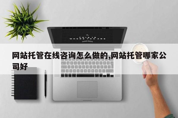 网站托管在线咨询怎么做的,网站托管哪家公司好