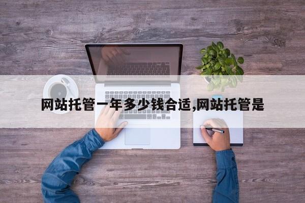 网站托管一年多少钱合适,网站托管是
